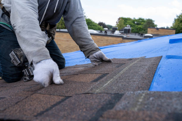 Quick and Trustworthy Emergency Roof Repair Services in Panama City, FL